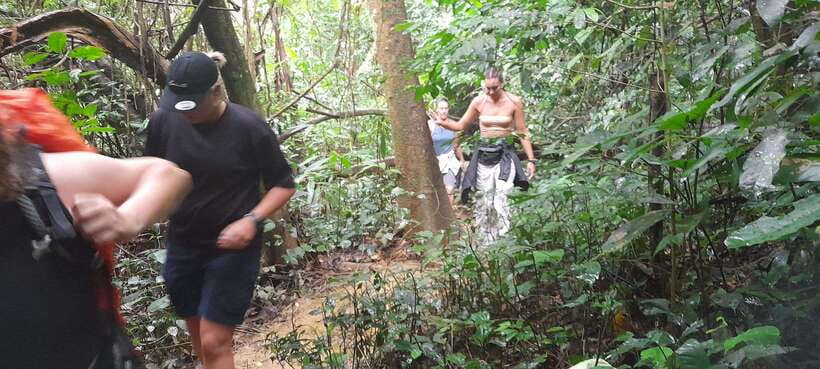Cuc Phuong National Park Hiking Tour - Why Cuc Phuong makes a good day outside Hanoi