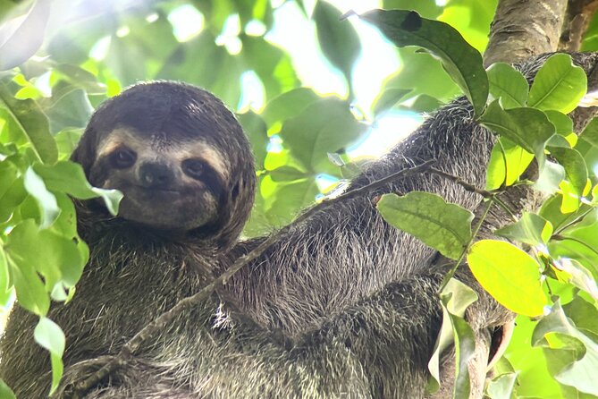 Customized Nature Walk in Manuel Antonio National Park - Key points at a glance