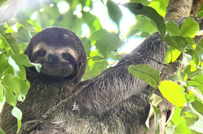 Customized Nature Walk in Manuel Antonio National Park - Who will enjoy this walk most
