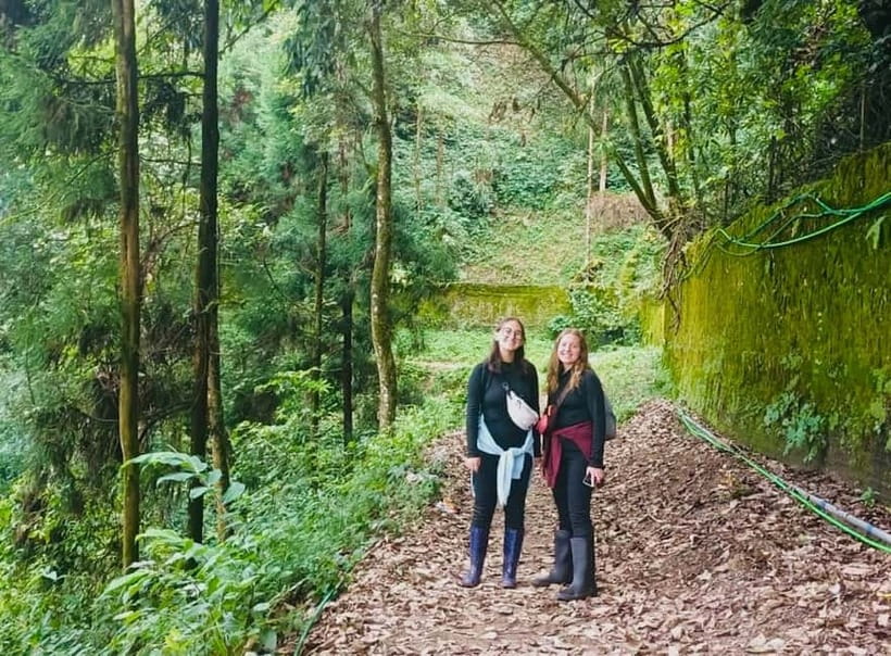 Darjeeling Cultural & Nature Walking Guided Tour - A four-kilometre nature walk through village country