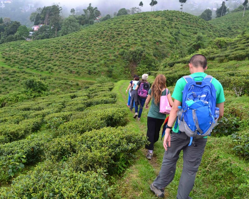 Darjeeling Cultural & Nature Walking Guided Tour - Who should book this walk