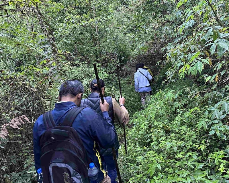 Darjeeling: Tiger Hill Sunrise Hike – Guided Day Trip - Guide quality and group size