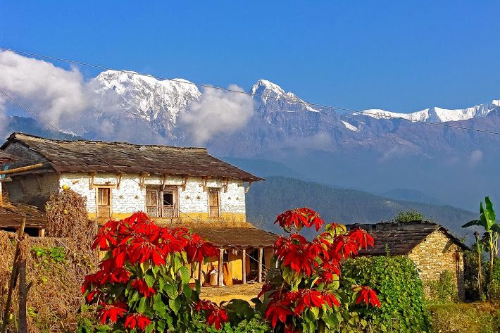 Day Hike at Annapurna Foothills - Dhampus to Phedi through farmland