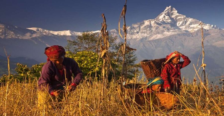 Day Hike at Annapurna Foothills - Weather and timing matter