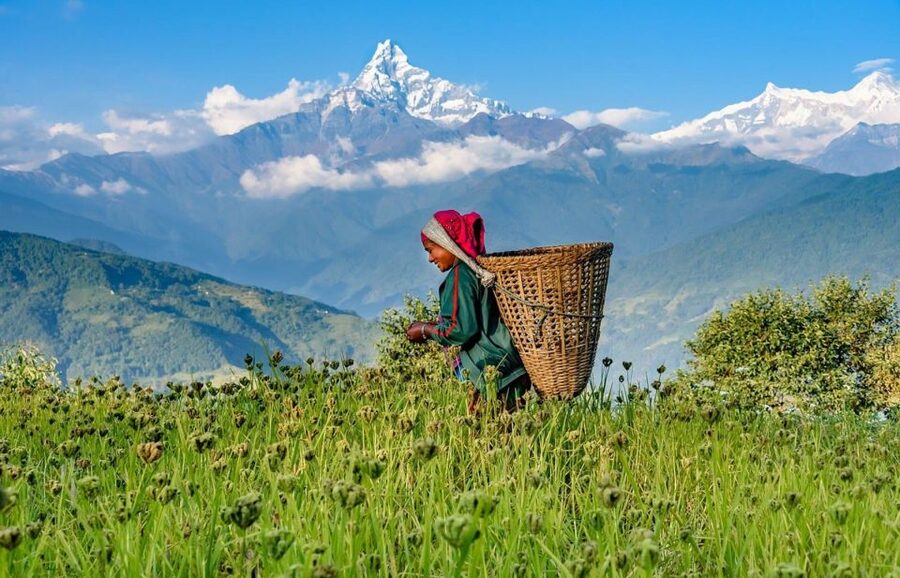 Day Hike at Annapurna Foothills - The morning drive from Lakeside to Kande