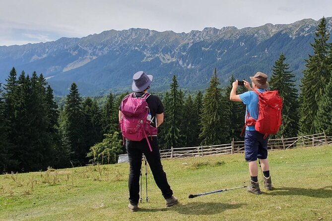 Day Hike in Carpathian Mountains for all levels in five areas - Practical Details Before You Book