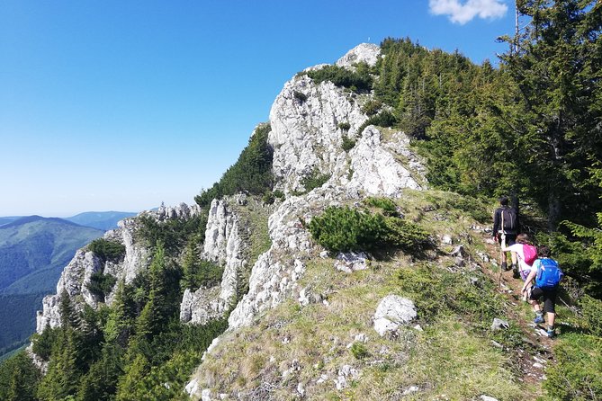 Day Hike PRIVATE - Piatra Craiului National Park - Why Piatra Craiului makes a strong day trip from Brasov