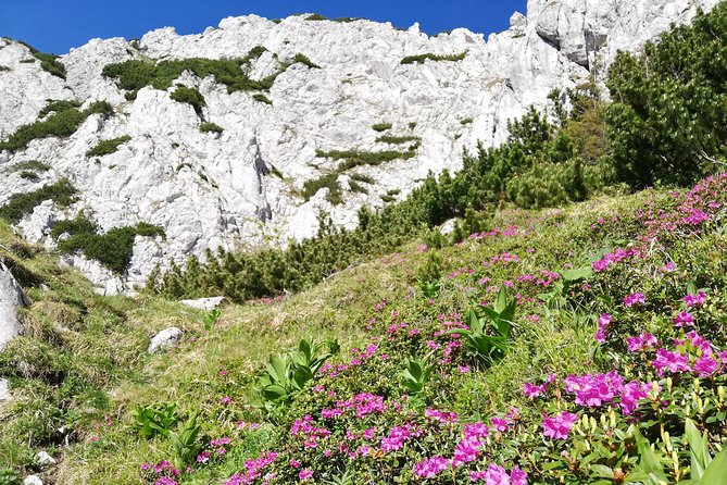 Day Hike PRIVATE - Piatra Craiului National Park - Reaching the trailhead from Piața Sfatului