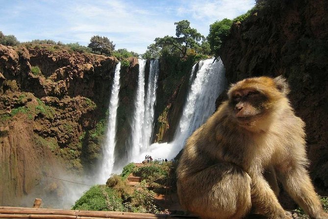 Day Trip To Ouzoud Waterfalls (Guide Hike & Boat are options) - Monkeys, food, and the time between viewpoints
