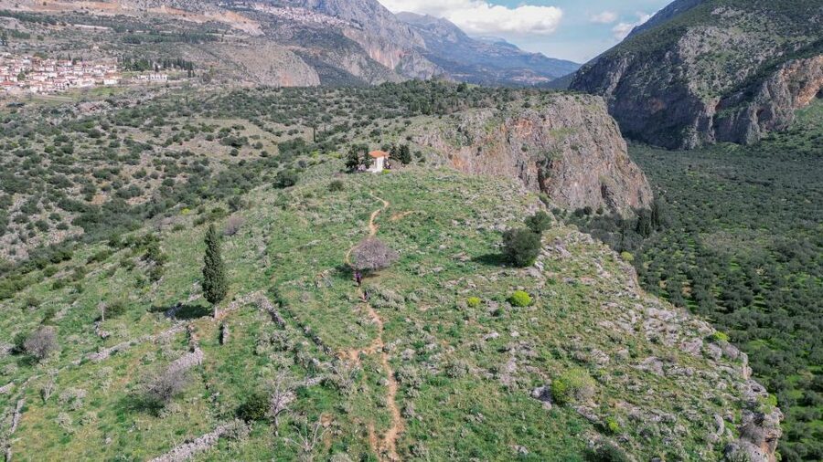 Delphi: Easy Hike on Ancient Path through the Olive Groves - Walking out of Delphi on an ancient route