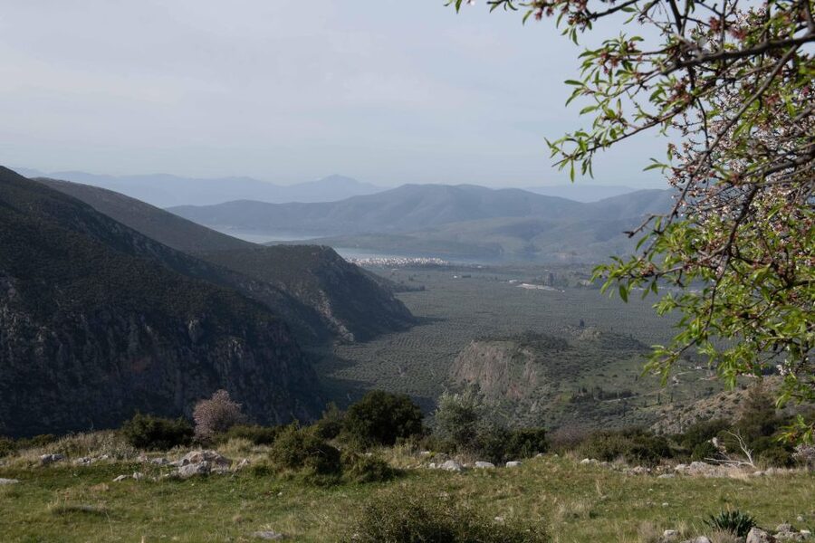Delphi: Easy Hike on Ancient Path through the Olive Groves - Stories, myths, and friendly competition