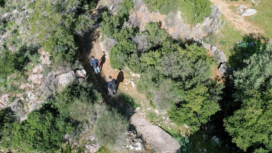 Delphi: Easy Hike on Ancient Path through the Olive Groves - The ride back to Delphi