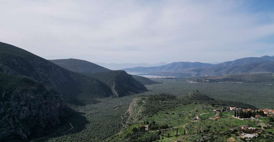 Delphi: Easy Hike on Ancient Path through the Olive Groves - The views across the Delphian valley