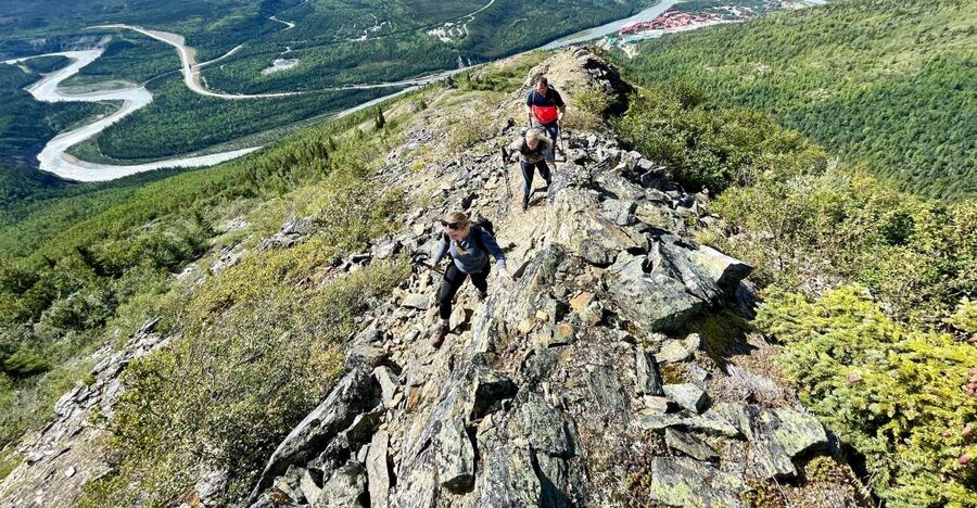 Denali: 5 Hour Guided Into The Mountains Hiking Tour - Key points to know before you book