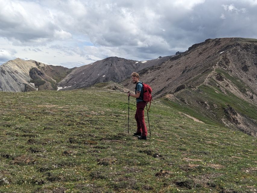 Denali: 5 Hour Guided Into The Mountains Hiking Tour - What the guide adds to the experience