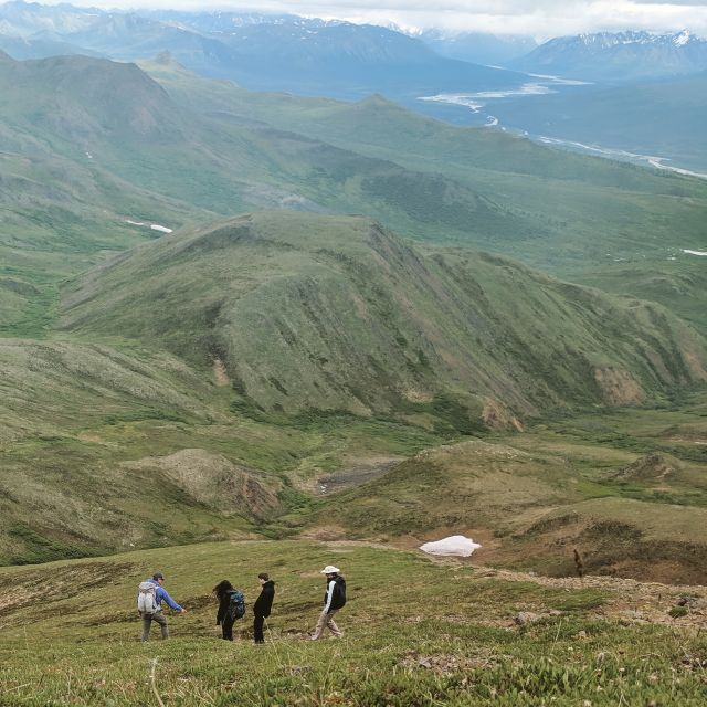 Denali: 5-Hour Guided Wilderness Hiking Tour - Key points to know before you book