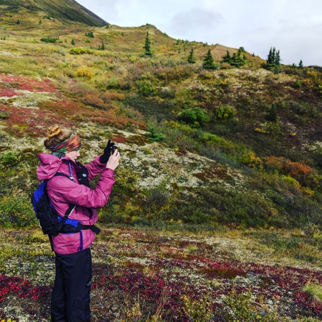 Denali: 5-Hour Guided Wilderness Hiking Tour - The lower forest gives way to open country