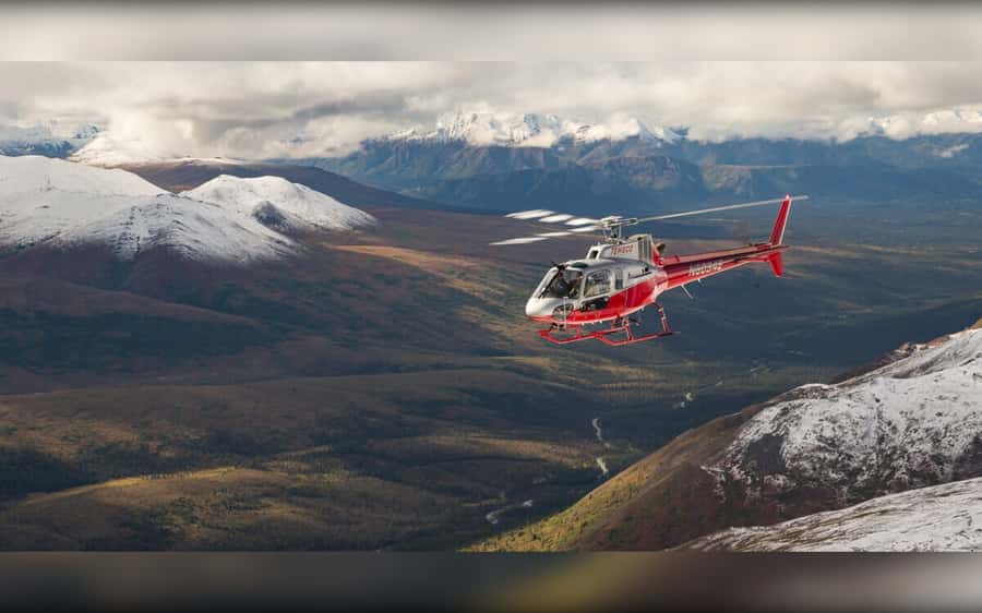 Denali National Park: Helicopter and Hike Adventure - Key points to know before you book