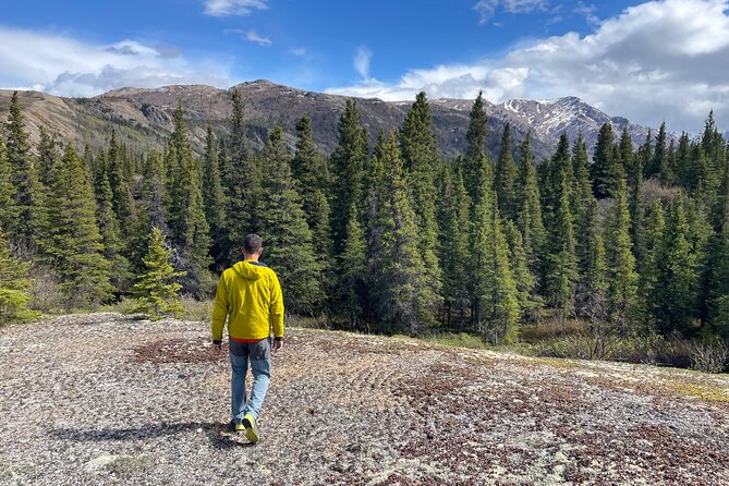 Denali Off-Trail Hiking Adventure (4 Hours) w/Expert Naturalist - A closer look at the forest beyond Denali’s trails