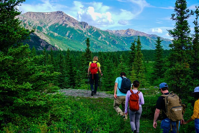 Denali Off-Trail Hiking Adventure (4 Hours) w/Expert Naturalist - Athabaskan culture, trappers, and survival in Alaska