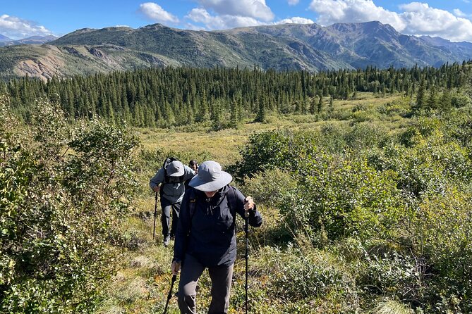 Denali Off-Trail Hiking Adventure (4 Hours) w/Expert Naturalist - Why the small group matters