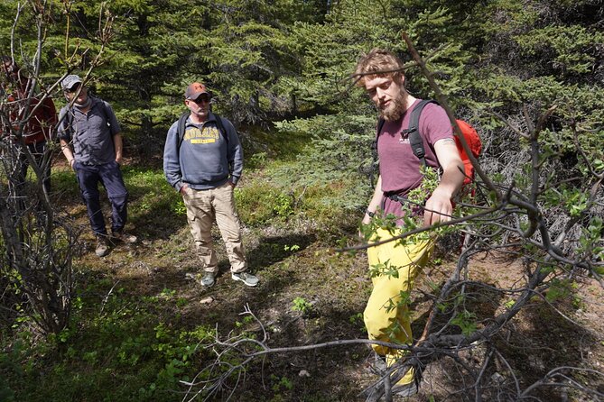 Denali Off-Trail Hiking Adventure (4 Hours) w/Expert Naturalist - How the four-hour schedule works