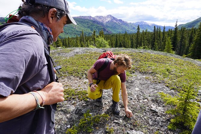 Denali Off-Trail Hiking Adventure (4 Hours) w/Expert Naturalist - Is $209 a fair price?