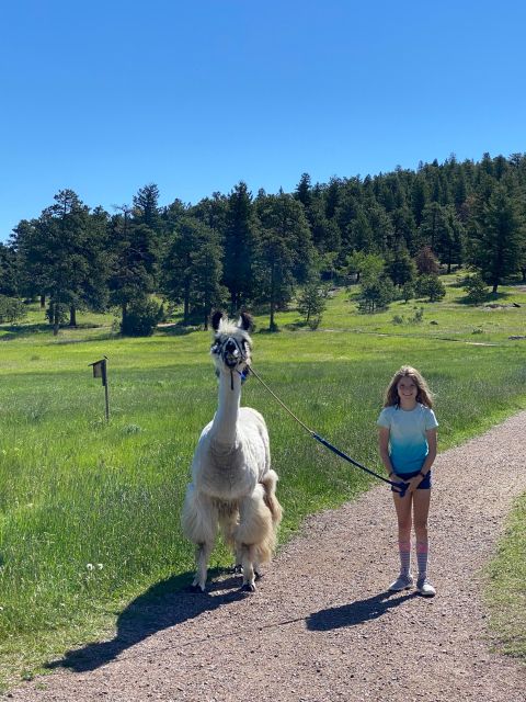 Denver: Llama Hike in the Rocky Mountains - Who should book this llama hike