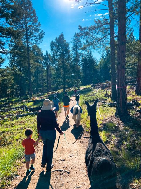 Denver: Llama Hike in the Rocky Mountains - What Kara and Brent add to the walk