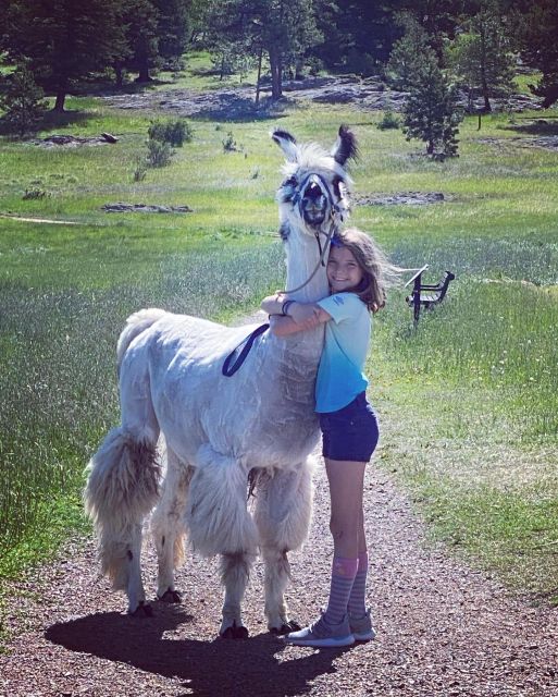 Denver: Llama Hike in the Rocky Mountains - Cancellation and planning details