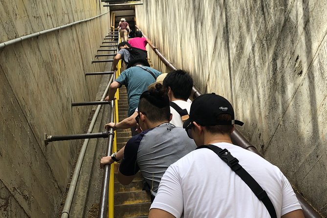 Diamond Head Bike to Hike and Local Lunch - Booking details that matter