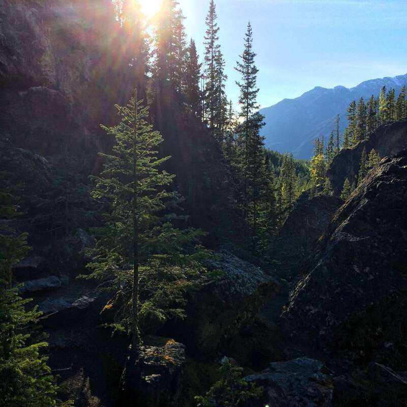 Discover Ancient Pictographs - Guided Canyon Hiking Tour 3H - Starting at the Canmore Recreation Centre