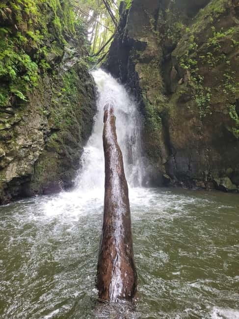Discover and Hike São Miguel with Rúben - Photos that solve a common solo travel problem