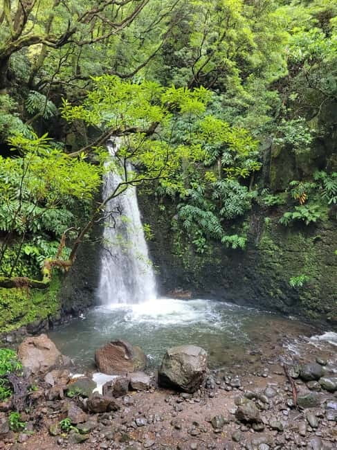Discover and Hike São Miguel with Rúben - Cancellation and language options