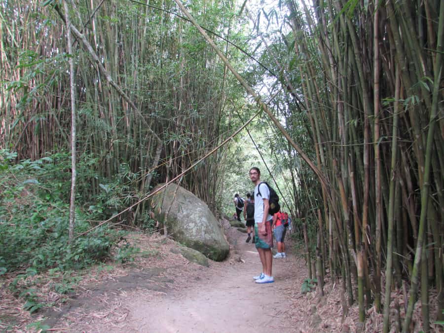 Discover Pedra do Telégrafo: Scenic Hike with Expert Guide - Key points about the Pedra do Telégrafo experience