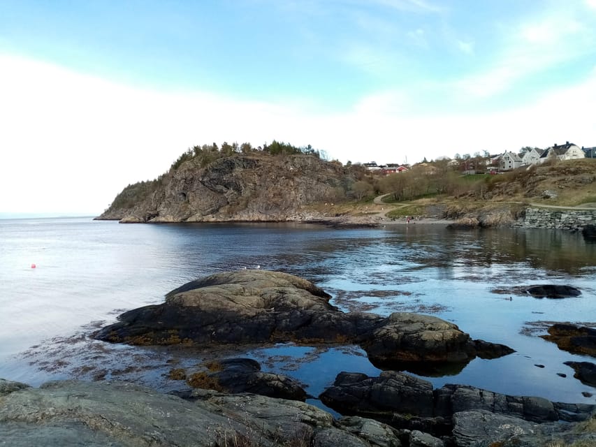 Discovery hike along the Trondheimsfjord - Why this coastal walk is different from a city tour