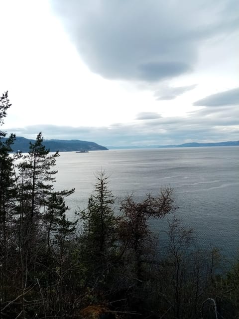 Discovery hike along the Trondheimsfjord - Price, timing, and practical value