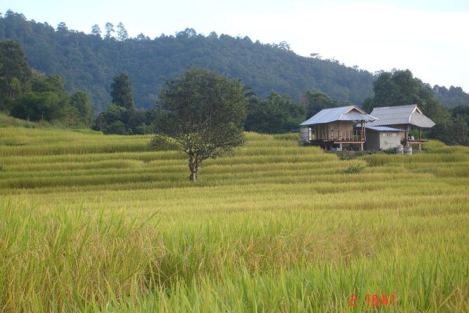 Doi Inthanon National park and 2 hours hiking with private tour - Why Doi Inthanon works as a full-day outing