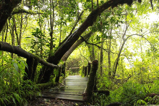 Doi Inthanon National park and 2 hours hiking with private tour - Lunch with a local taste