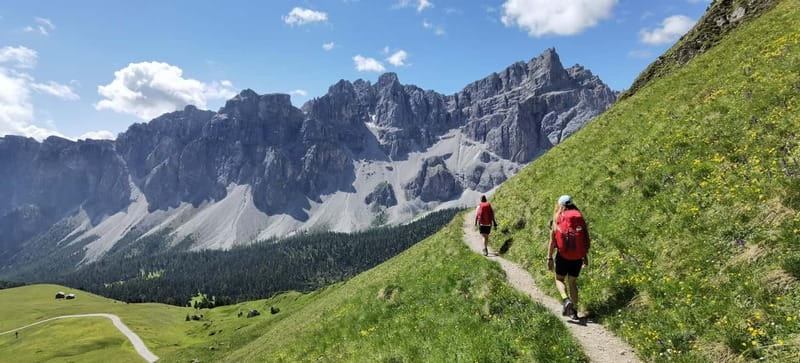Dolomites of Bolzano: Hiking Experience with a local Guide - Three hours of hiking at a sensible pace