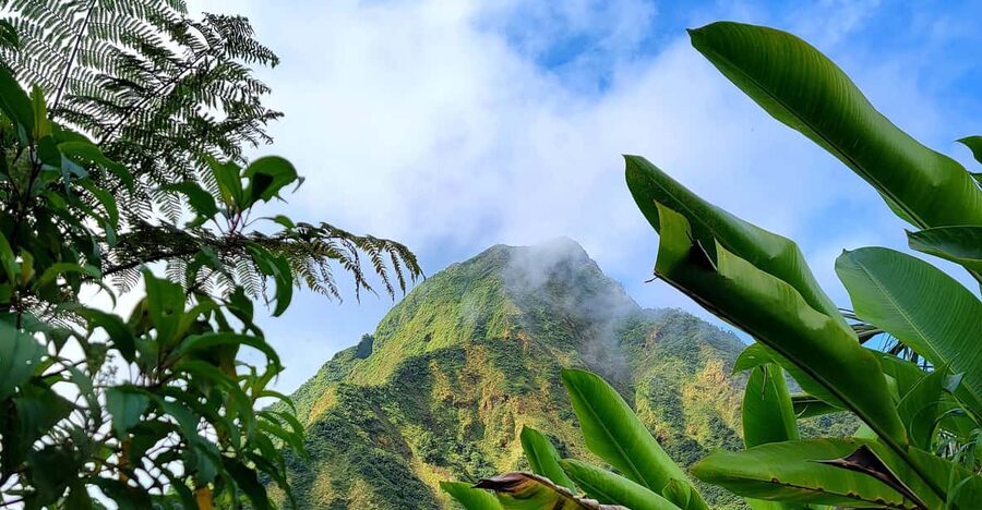 Dominica: Hiking tour to the boiling lake! - Part three: fumaroles, hot springs, and boiling water