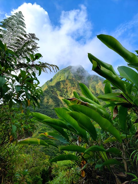 Dominica: Hiking tour to the boiling lake! - Titou Gorge: a cool finish after the hot volcanic ground