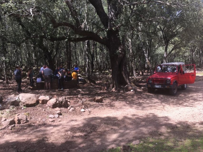 Dorgali: Supramonte Full-day Jeep Off-Roading & Hiking Tour - Practical details before you reserve