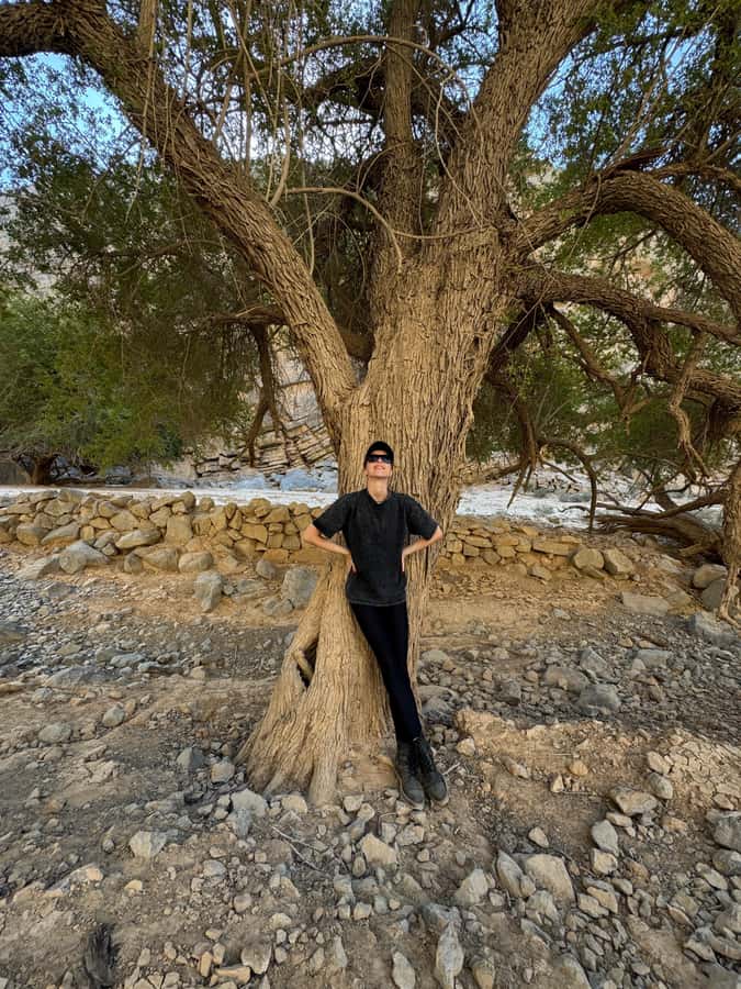 Dubai: Moderate hiking trip to Jebel Jais Hidden Oasis trail - Booking flexibility and practical limits