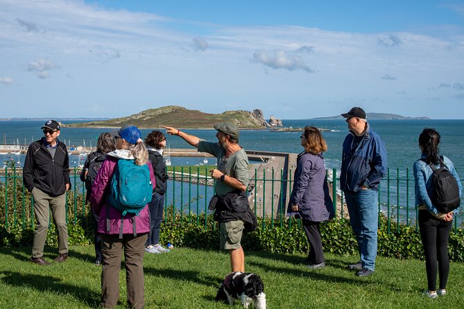 Dublin Coastal Hike, Pints & Puppies Adventure - Dogs, conversation, and the social side