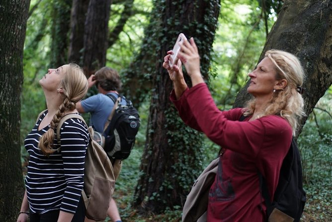 Dublin Coastal Hike with Howth Adventures - St. Mary’s Abbey and Howth’s Viking past
