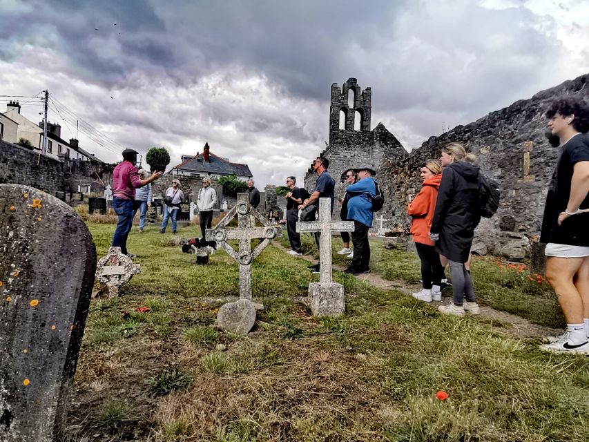 Dublin: Dublin Coastal Hike and Pints & Puppies - Viking and Norman stories beside a 700-year-old castle