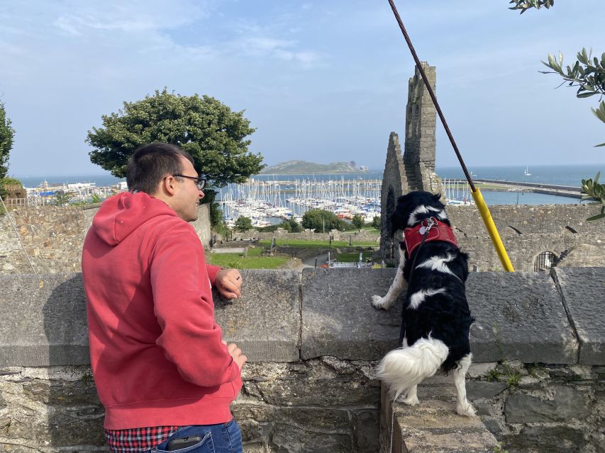 Dublin: Dublin Coastal Hike and Pints & Puppies - A pint and a chance to talk at the Bloody Stream
