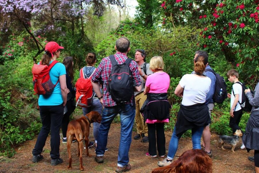 Dublin: Howth Coastal Hiking Tour - Guides, dogs, and the value of a local voice