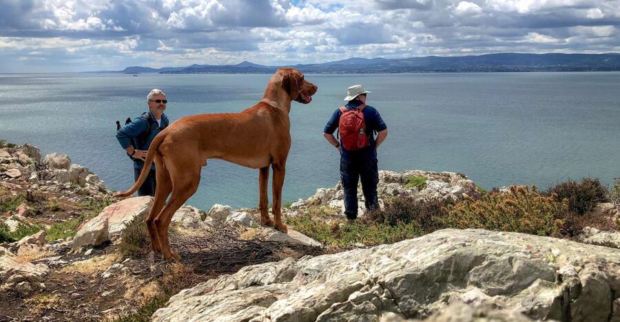 Dublin: Howth Coastal Hiking Tour - St Mary’s Abbey and Howth’s Viking beginnings